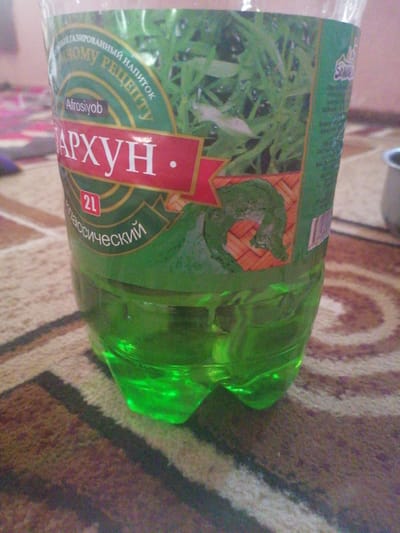 An upright, partially filled plastic bottle of green liquid sits on a patterned carpet. The label on the bottle features text in Russian and imagery of green grass and a stylized depiction of a lizard. The brand name "Afrosiyob" is visible on a red banner. A circular, metallic object is present to the right of the bottle. The background suggests an indoor setting. The location is identified as Gumbaz, Uzbekistan.