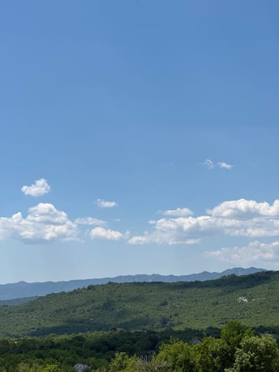 The image shows a vast expanse of clear blue sky with scattered fluffy white clouds. Below the sky, a lush green mountain range dominates the middle ground, covered in dense vegetation and trees. The slopes of the mountains are undulating and appear to be covered in a mix of trees and shrubs. In the foreground, more trees are visible, with some hints of rocky outcrops and possibly a few buildings nestled amongst the foliage, suggesting a rural or semi-rural setting. The overall impression is one of a serene, natural landscape on a sunny day, possibly in the mountainous region surrounding Nikšić, Montenegro, given its geography and climate. There are no people or animals visible in the image.