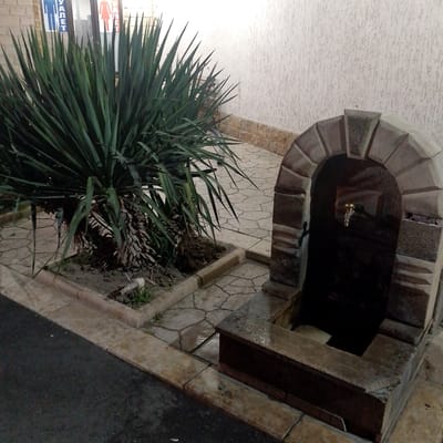 In Krasnooktyabrskoye, Russia, an outdoor scene at night features a stone archway structure with a metal faucet and a basin, likely a public drinking fountain. Adjacent to the fountain, a large, spiky green plant, possibly a yucca, is planted in a raised bed. The ground is paved with light-colored, irregular flagstones, and a dark asphalt surface is visible in the foreground, suggesting a pathway or road. The background shows a textured, light-colored wall and a building with signage indicating restrooms. The area appears to be dimly lit, perhaps by streetlights or artificial illumination from the building.