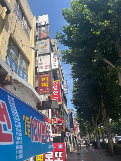 The image displays a daytime street scene in Jongno-gu, South Korea, featuring a commercial thoroughfare. On the left, a series of multi-story buildings are densely covered with numerous vertically oriented commercial signs in Korean. Prominently visible signs advertise businesses such as a "Norae" (karaoke/song) establishment, "LOTTO" and "J-복권방" (J-lottery house), "신 마사이 워킹센터" (New Masai Walking Center), "프로방스 커피" (Provence Coffee), "동엄 약국" (Dong-eom Pharmacy), and multiple job placement and real estate services. A large blue banner on the lower left, partially visible, displays a vertical list of numbers. Overhead electrical wiring is present along the facade of the building on the immediate left.
To the right, a row of mature trees with dense green foliage lines a concrete sidewalk, which extends into the background. Sunlight indicates clear weather, with a bright blue sky visible above the buildings and trees. Shadows are cast across the sidewalk by the trees and buildings. Several pedestrians are visible walking on the distant, shaded sidewalk; one individual closer to the foreground on the right appears to be holding a parasol or umbrella. Vehicles are faintly discernible on the street beyond the trees in the far distance.