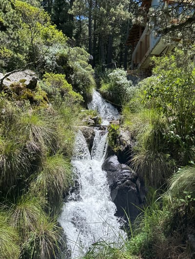 In San Mateo Ozolco, Mexico, a cascading waterfall flows through a lush, green forest. The water tumbles over dark, wet rocks, creating white spray and foam. Tall, thin grasses and various green plants line the edges of the waterfall. In the background, a wooden structure with a slanted roof is visible, nestled amongst the trees, suggesting a building or cabin in the natural setting. Sunlight filters through the dense foliage, illuminating the scene with a natural, outdoor ambiance.