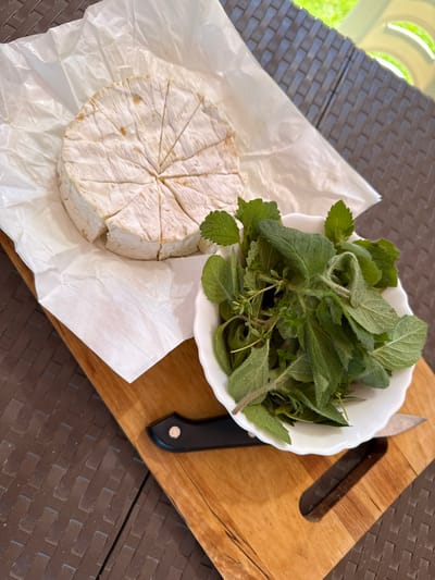 This image depicts a static still life scene situated on an outdoor patio table in Anglininkai, Lithuania.
The primary subjects are a round, soft-ripened cheese (resembling Camembert or Brie) and a bowl of fresh green herbs, resting on a light-brown wooden cutting board. The cheese, partially unwrapped from its crinkled white parchment paper, has been cut into approximately nine wedges, with one wedge slightly separated from the main wheel. To the right of the cheese, a small, white, scalloped-edge bowl contains a mix of freshly gathered green herbs, including broad-leafed varieties that appear to be mint or lemon balm, some with a visible fuzzy texture, alongside finer sprigs that resemble thyme. A small utility knife, with a black handle and a silver blade, lies on the cutting board near the bowl, its blade pointing towards the bottom right.
The wooden cutting board, featuring a striped grain pattern and an oblong cutout handle on its right side, rests on a dark brown outdoor table. This table exhibits a distinctive woven or small brick-like pattern. The background, largely out of focus, shows vibrant green foliage and elements of light-colored outdoor furniture, indicating a bright, daylight setting. No individuals are present in the image.