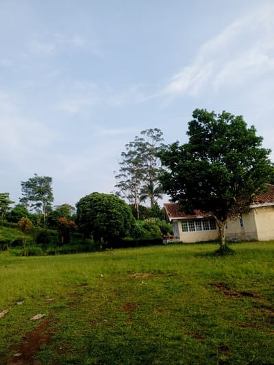 The image depicts a rural landscape in Kudawa, Sri Lanka. In the foreground is a grassy field with patches of exposed soil. A single tree stands between the field and a single-story building. The building appears to be constructed with light-colored walls and a red tile roof. Multiple windows are visible. Beyond the building, there is a dense area of trees and vegetation with variations in height and color, suggesting a diverse array of plant life. The sky is partially cloudy.
