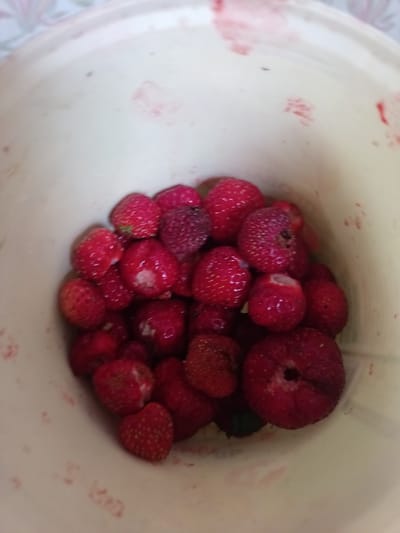 This media file contains a close-up, top-down view of a bucket filled with strawberries. The strawberries are various shades of red, with some appearing brighter and others a deeper, more purplish-red. Many of the strawberries have visible seeds on their surface, and some show signs of being eaten or damaged, with white or lighter-colored patches where the fruit has been removed. The inside of the bucket is a light, creamy color and shows a few smudges or stains of red, likely from the strawberries. The background is out of focus, but appears to be a patterned surface, possibly wallpaper or fabric, with light colors and indistinct shapes. There is no visible text. The lighting suggests it is daytime, and there are no clear indicators of weather or a specific location beyond the implied context of the strawberries being in a container, possibly for harvesting or storage. The overall impression is of freshly picked fruit.
