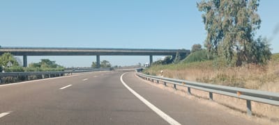 The image shows a highway passing under an overpass. The highway has two lanes in the visible direction of travel, marked with white lines. A metal guardrail runs along the right side of the highway, separating it from a grassy embankment with a large tree. The sky is clear and blue. The overpass appears to be made of concrete and is supported by pillars. In the distance, there are some trees and vegetation. A white truck is visible on the overpass. There are no people visible in the image. The scene is consistent with a rural highway in Spain, potentially near Torrefresneda.