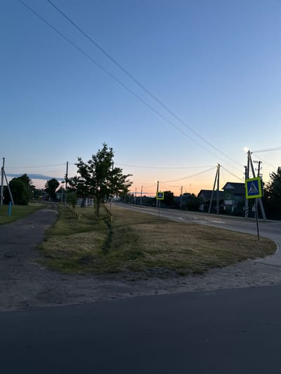 The image captures a tranquil rural or suburban street scene at dusk or early evening. The sky, dominating the upper portion of the frame, transitions from a clear, deep blue overhead to soft hues of pink and orange at the horizon, indicative of a recent sunset. Several thin power lines stretch across the sky, connecting various utility poles visible along the roadside.
In the foreground, a dark asphalt road occupies the right side, bordered by a grassy median or shoulder on the left. This grassy area contains patches of dry, lighter-colored grass and scattered darker green foliage. A single, distinct tree with a full canopy of dark green leaves stands prominently in the grassy section of the mid-ground.
Along the road, several wooden utility poles support power lines. Two blue square road signs, each featuring a white triangle with a black pedestrian symbol (pedestrian crossing signs), are visible. One sign is closer to the viewer, while the other is further down the road, closer to the horizon line. In the distance, silhouetted buildings or houses can be discerned amidst the trees and infrastructure, suggesting a small settlement.
The scene is devoid of people or vehicles, conveying a sense of calm and quiet. The lighting is soft and subdued, characteristic of twilight. The only visible "text" consists of the universally recognized pedestrian symbols on the road signs. The location context provided is Лабжанскі сельскі Савет, Belarus.