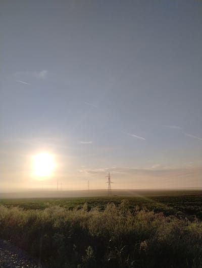 The image presents a serene landscape, likely taken in Roza, Bulgaria, depicting a field under a bright, hazy sky. The photograph appears to be originally taken in a landscape orientation but is displayed vertically; mentally rotating it 90 degrees counter-clockwise would show the horizon horizontally.

The most prominent subject is the sun, a brilliant, overexposed orb situated low in the sky, towards the left of the frame (if rotated correctly). It emits strong, golden rays that pierce through a hazy atmosphere, creating a soft glow that extends across the horizon. The sky transitions from this radiant golden light near the sun to a clear, pale blue higher up, with faint, wispy contrails streaking across it.

In the mid-ground, silhouetted against the bright sky and haze, are several tall, metallic lattice pylons, supporting power lines that stretch across the scene. One pylon is distinctly visible towards the center-right (when rotated), with others appearing more distant and partially obscured by the atmospheric conditions.

Below the hazy horizon lies a sprawling expanse of land, primarily composed of dense vegetation. This appears to be a field or overgrown area, characterized by a mix of green and drier, lighter-colored plants, particularly noticeable on the right side of the image. The ground detail suggests an untamed natural environment.

The strong, low sun and atmospheric haze strongly indicate either early morning (sunrise) or late afternoon (sunset). The overall mood is peaceful and expansive. There is no visible text in the image.