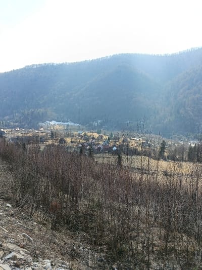 The image depicts a panoramic view of a valley in Korostiv, Ukraine, under bright, hazy daylight, likely during late winter or early spring. In the immediate foreground, the lower left corner shows disturbed, light-colored rocky terrain. Directly in front of the viewer, a dense horizontal band of bare deciduous trees and shrubs, devoid of leaves, occupies the lower third of the frame. Scattered among these are areas of dry, light brown ground cover.

The midground reveals a village extending across the valley floor, comprising numerous residential structures with varied roof colors, including red, brown, and grey. Patches of dry, light brown fields separate segments of the village. Further into the midground, towards the base of the mountains, several distinct patches of residual snow are visible on the ground. Interspersed throughout the village and fields are scattered evergreen trees.

The background is dominated by a range of large, forested mountains, appearing hazy and blueish due to atmospheric perspective. The trees on these mountains are predominantly deciduous, also appearing bare or with minimal foliage. The sky, occupying the upper third of the image, is bright and appears overcast or hazy white to light blue. No individuals or specific actions are discernible within the scene.