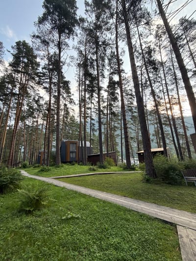 The image depicts a tranquil forest scene in Barangol, Russia, characterized by a dense growth of tall pine trees. A wooden boardwalk winds through the grassy terrain, leading towards modern, minimalist cabins nestled amongst the trees. The cabins feature dark siding and large windows, suggesting a contemporary architectural style that complements the natural surroundings. The sun is partially obscured by the trees, casting a gentle light that filters through the foliage, creating a serene and inviting atmosphere. The environment appears well-maintained, with neat lawns and lush green undergrowth, indicating a developed recreational or residential area within the forest.