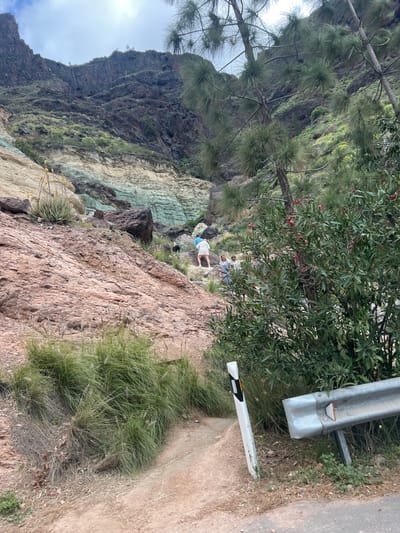 The image captures a scenic view in the municipality of Mogán, Spain. The foreground is dominated by a rocky terrain with a mix of reddish-brown and greenish-grey colored rock formations, sparsely covered with grass and some yellow-flowering plants. The background features a steep cliff or mountainside with varying shades of brown and green.
On the right, a portion of a roadside is visible with a metal guardrail and a white and black marker post. Several people are standing on a ledge, viewing the landscape. They are wearing casual clothing, and their actions suggest they are observing the view. The scene presents a combination of natural geological formations and elements of human infrastructure in a mountainous landscape.