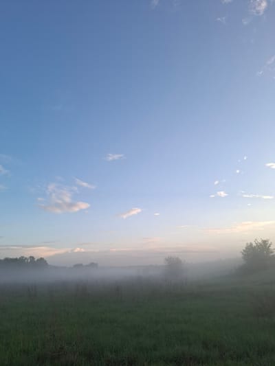 The image shows a landscape with a clear blue sky partially covered with small white clouds. On the right side of the image, there is a field of green grass with some trees and bushes. Fog is present in the lower part of the field, partially obscuring the trees. The location appears to be rural and could plausibly be in or around Khlevnoye, Russia, although there's no specific architectural or geographical information to confirm the city. No people are visible in the image.