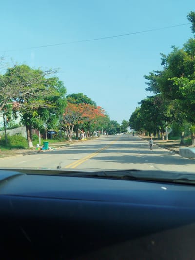 The photograph depicts a view from inside a vehicle, likely a car, looking down a paved road in Pờ Y, Vietnam. The road has double yellow lines down the center, indicating two-way traffic. A man is walking on the right side of the road. Trees line both sides of the road, with some displaying green foliage and others with orange flowers. On the left side of the road, there is a green trash can and some scattered trash. The sky is clear and blue. The foreground of the image shows the dashboard of the vehicle.
