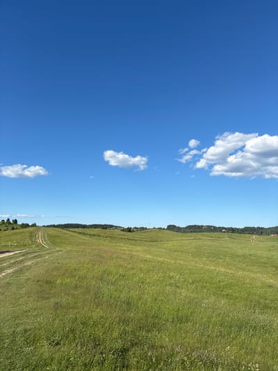 This is a vertical, full-shot, eye-level, outdoor, daytime, natural light media file. The image depicts a vast, green meadow under a bright blue sky with scattered white clouds. The meadow occupies the right side of the frame, sloping gently upwards and to the right, with a visible track or path winding through it in the lower right quadrant. Along the horizon line, separating the meadow from the sky, is a dense line of dark green trees, and beyond the trees, a few small buildings or houses are visible. The sky on the left is a clear, deep blue, with a few fluffy white clouds distributed across it. The overall impression is one of a serene, rural landscape on a sunny day, likely during the warmer months. The image conveys a sense of openness and tranquility. There is no visible text in the media file.