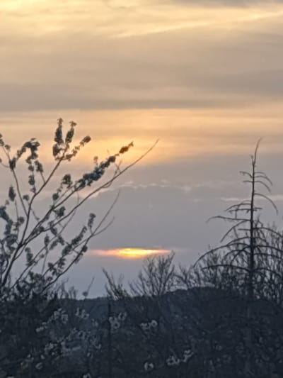 The image shows a vertical light pillar, likely a sun pillar, visible in the sky. The foreground includes silhouetted trees and branches. The sky is pale with some cloud formations. The location is Schifflange, Luxembourg. The specifics are lacking to establish any actions or interactions as they relate to people.