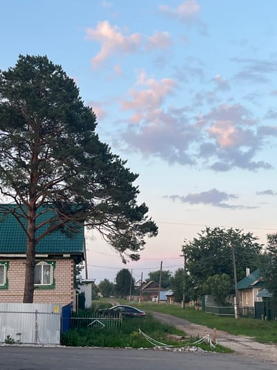 A street scene in Ludorvay, Russia, features a large pine tree in the foreground to the left, its branches extending over a brick house with a green metal roof. The house has white window frames with decorative green trim. A corrugated metal fence runs along the front of the property, with a blue gate visible. Beyond the house, a dirt road winds through a village with several other houses, some with green roofs, and lush green trees. A dark-colored car is parked on the side of the road. The sky above is a pale blue with scattered pink and gray clouds, suggesting either sunrise or sunset. Power lines and poles are visible throughout the scene, indicating a residential area.