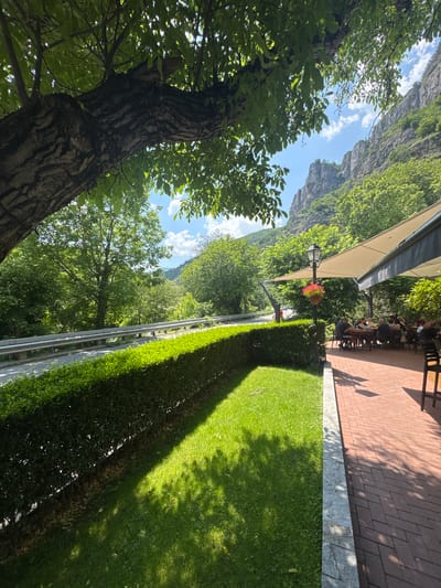 The image depicts an outdoor scene in Milanovo, Bulgaria, under bright, clear daylight. A massive tree with dark, textured bark and vibrant green foliage occupies the upper-left quadrant, with its leaves obscuring parts of the sunny sky.
In the mid-ground, a paved road with a silver metallic guardrail runs horizontally across the left side of the frame. Beyond the guardrail, a dense forest of green trees extends into the distance, suggesting a mountainous or hilly terrain.
Separating the road from the foreground elements is a meticulously trimmed, dark green hedge. To the right of the hedge, a patch of vivid green grass is visible, displaying sharp sunlit areas contrasting with complex shadows cast by the overhead tree.
On the right side of the image, an outdoor restaurant patio is paved with red-orange bricks laid in a herringbone pattern. The patio is partially covered by two large, light-beige rectangular awnings. Several round and rectangular tables, accompanied by dark chairs, are set up on the patio. Approximately 10-15 individuals are seated at these tables, engaged in dining or conversation. A black street lamp, featuring a decorative hanging basket with red flowers, stands near the hedge line on the patio.
The background reveals majestic, steep, grey rocky mountains largely covered in lush green vegetation and trees, rising dramatically under a bright blue sky dotted with fluffy white clouds. The overall impression is one of a serene, natural environment with an active outdoor dining area.