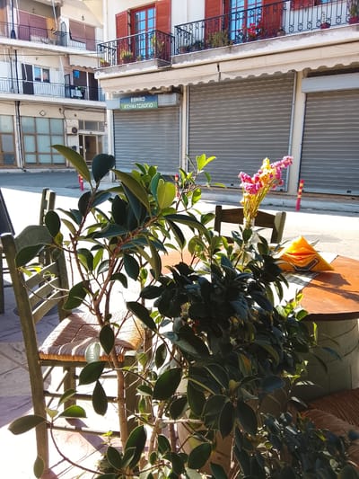 The image captures a street scene in Λεχαινά, Greece. A round, wooden table dominates the foreground, adorned with a vase of pink and yellow flowers, an orange napkin, and a gray and white tablecloth. The table is surrounded by green wooden chairs with woven seats. Potted plants with broad, dark green leaves are positioned near the chairs.

Behind the table and chairs, the street is visible, with storefronts featuring closed gray roller shutters. Above the shutters, there are buildings with balconies and windows, some with red shutters and flower boxes. A sign in Greek, possibly indicating a business name, is visible above one of the storefronts.

The scene is illuminated by sunlight, creating shadows and highlights on the objects and the street. The overall impression is that of a quiet, sunlit street in a Greek town, with a focus on the outdoor seating area of a cafe or restaurant.