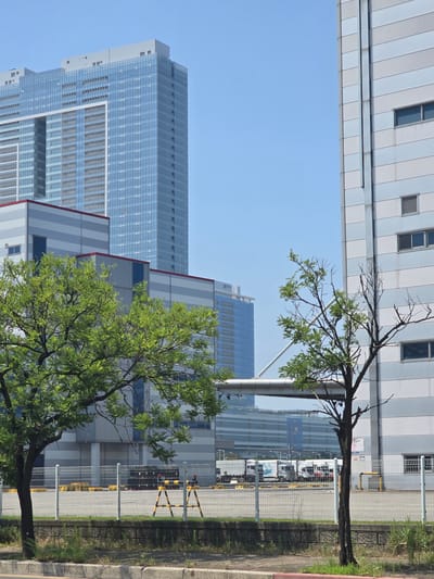 The image depicts an outdoor scene in the city of Pyeongtaek-si, South Korea. In the background, a tall, modern glass-covered building with a light blue hue stands prominently against a clear blue sky. To the right, a large, grey, multi-story industrial building with horizontal white and light grey panels is visible. In the mid-ground, there are several lower, grey buildings with horizontal white stripes and red trim. A metal pipe structure crosses horizontally in front of these buildings. In the foreground, two trees are present; one is full of green leaves on the left, and the other on the right is bare with visible branches. A chain-link fence runs across the foreground, separating the viewer from a paved area with yellow objects and some black containers. A few trucks are parked behind the fence in the middle ground. The ground in the immediate foreground is paved, with a concrete curb and some sparse vegetation. The overall scene suggests an industrial or commercial area.