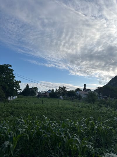 The image shows a rural landscape in the city of Kamennomostsky, Russia. In the foreground, there is a field of tall, green corn stalks. Beyond the cornfield, there are more fields of green vegetation, possibly potato plants. In the background, several houses with various rooflines and colors are visible, situated among trees. Electrical wires are strung across the upper left portion of the image. The sky above is a mix of blue sky and white, wispy clouds. To the far right, a dark, tree-covered mountain slope is visible. The overall scene suggests a summer day in a village setting.