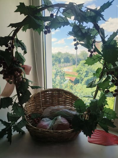 A wicker basket sits on a windowsill in front of a window overlooking a residential area. The basket contains items wrapped in plastic bags, including what appear to be fruits or vegetables. A decorative vine with green leaves and red berries encircles the basket and hangs from a string. A pink bow is attached to the vine. Outside the window, trees and rooftops are visible, along with a white car parked on a street. A red fly swatter is placed to the right of the basket on the windowsill. The scene is likely within a dwelling in Kalynivka, Ukraine.