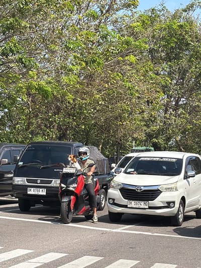 In Banjarangkan, Indonesia, a person wearing a helmet and a striped shirt rides a red and black scooter. The person is looking towards the right of the frame and has a small dog perched on the front of the scooter. The dog is looking forward. Behind the scooter is a black utility vehicle. To the right of the utility vehicle is a white car. The vehicles are parked on an asphalt surface, indicated by painted white lines on the ground. The background is filled with lush green trees and a clear blue sky. The scene is illuminated by bright sunlight.
