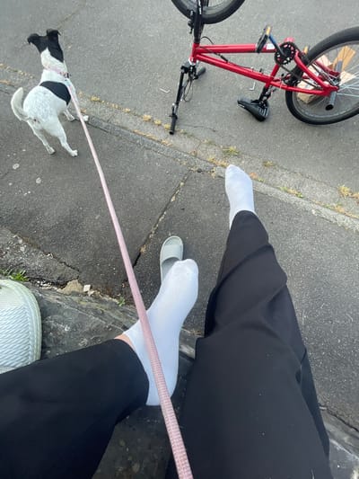 The image captures a casual scene on a paved surface, likely a street or sidewalk in Wiehl, Germany. A small black and white dog on a pink leash stands to the left, facing away from the viewer. A red bicycle is propped up to the right, its wheels visible. In the foreground, a person's legs are visible, clad in black pants and white socks, with one foot wearing a gray slipper. The environment is characterized by gray asphalt and a stone border. The lighting suggests an outdoor setting during the day.