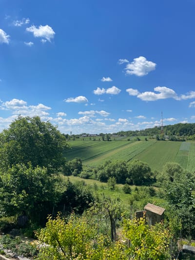 This is a landscape photograph taken outdoors, likely during the day. The scene depicts a rural setting with a bright blue sky dotted with fluffy white clouds. The land is a mix of cultivated fields and lush green trees. In the distance, a tower-like structure, possibly a communication tower or a pylon, stands against the treeline.

A small, rustic wooden structure, resembling a shed or a simple building, is nestled amongst the trees in the foreground on the right side of the image. The surrounding vegetation is dense and green, with some trees showing sunlit foliage. The fields appear to be agricultural, with visible rows suggesting crops. The overall impression is one of a peaceful, sunlit day in the countryside. There is no visible text in the image. The location context is Velyka Berezovytsia, Ukraine.