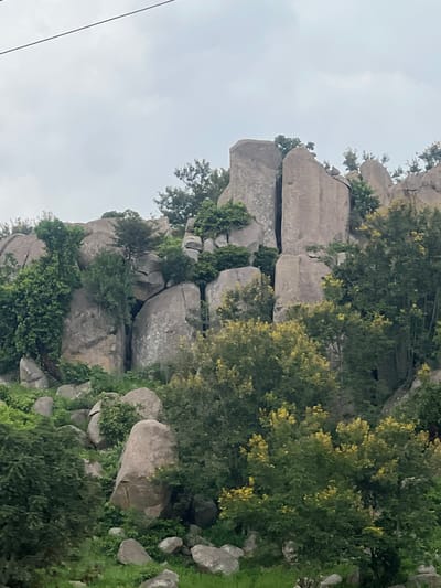 The image depicts a rocky, hilly landscape with dense vegetation. Large, weathered boulders are interspersed with numerous trees and shrubs, some of which are adorned with yellow blossoms. The terrain appears rugged and uneven, with a scattering of rocks and foliage covering the slopes. The sky above is overcast with gray clouds. The scene is entirely natural and devoid of any human presence or man-made structures, suggesting a remote or undeveloped area. This scene could be found in the outskirts of Panyam, Nigeria, where such geological formations and natural vegetation are common.