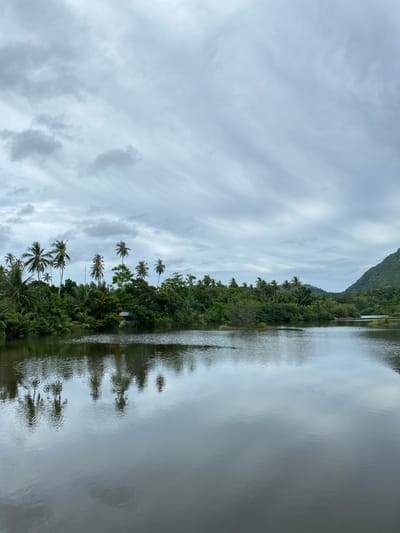 This image depicts a tranquil, overcast scene of a body of water bordered by dense tropical vegetation and palm trees. The water is dark and reflects the sky and the surrounding greenery, creating a mirror-like effect with subtle ripples. On the left bank, a cluster of tall palm trees and various lush green foliage are visible, with a hint of a small structure, possibly a house, nestled within the trees. To the right, the landscape transitions to a gently sloping, verdant hillside under a cloudy sky. The overall impression is one of a natural, peaceful environment, characteristic of a rural or coastal setting in a tropical region like Aneuk Paya, Indonesia. There are no people or visible actions occurring in the scene.