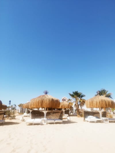 The image captures a serene beach scene in Safaga, Egypt, under a vast, cloudless blue sky. The foreground features light-colored, soft sand, typical of a warm coastal area. The main subjects are several large, round straw umbrellas, also known as palapas, which are interspersed across the sandy expanse. Beneath these thatched structures, white, cushioned lounge beds or chairs are arranged, suggesting an inviting space for relaxation. Small white tables are also visible next to some of the seating.

No people are present in the frame, contributing to a tranquil and uncrowded atmosphere. The scene evokes a sense of leisure and holiday. In the midground and background, multiple green palm trees are scattered, adding a tropical touch to the environment. Behind the umbrellas and trees, various light-colored buildings or structures, likely part of a resort or beach club, can be seen. On one circular sign in the background, the text "ZONI" is partially visible.

The bright, direct sunlight indicates it is likely midday or early afternoon, with clear weather ideal for a beach setting. A notable detail is a decorative metallic emblem, possibly a sun or stylized face, adorning the peak of one of the central straw umbrellas. The overall impression is one of a peaceful, sunny, and well-appointed beach destination.