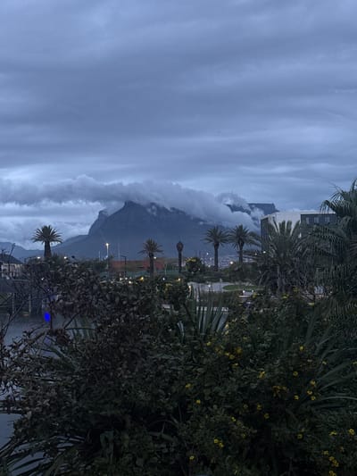 The image captures a view in Milnerton, South Africa, characterized by an overcast sky with dramatic cloud formations partially obscuring a mountain range. In the midground, palm trees stand tall, adding a touch of coastal ambiance. The foreground is dominated by dense shrubbery with small yellow flowers, creating a natural screen. Distant city lights twinkle in the background. The overall scene conveys a sense of tranquility and showcases the natural beauty of the area despite the gloomy weather.