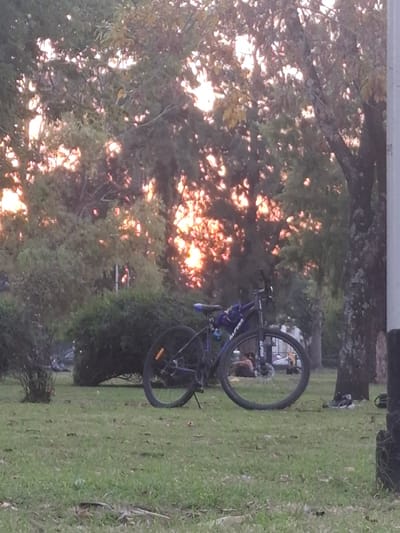 Here is a detailed description of the image:
**Location:** The scene appears to be in a grassy area with trees, potentially a park or residential area, possibly in Villa Domínico, Argentina. The image is taken during a time with warm sunlight possibly around dusk or dawn.
**Objects:** A blue mountain bike is resting on the grass. There are trees and bushes. Some objects are obscured by the background sunlight.
**Environment:** Overgrown grass and bushes with trees in the background. The trees are showing a lot of sunlight, and there are a lot of shadows throughout the image.