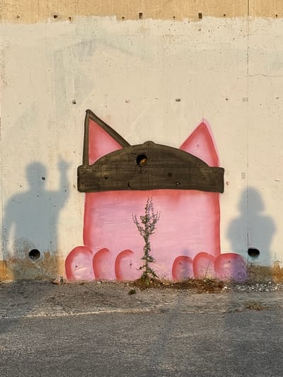 A graffiti mural depicting a pink cat wearing a black blindfold is painted on a rough, off-white concrete wall in Donji Katun, Montenegro. The cat has large, pointed pink ears and a rounded body. The blindfold has a dark brown color and a circular cutout in the center. At the bottom of the mural, the cat's paws are represented by several rounded shapes painted in shades of pink and purple. A small green plant with delicate leaves is growing out of the ground in front of the cat's paws.

To the left of the mural, the shadow of a person is cast on the wall, with their left arm raised and index finger pointing upwards. To the right, a fainter shadow of another person is visible. The concrete wall shows signs of age and weathering, with streaks of dirt and discoloration. Two circular openings, possibly for drainage or conduits, are visible in the wall near the ground. The ground in front of the wall is a mix of asphalt and gravel, with scattered small rocks and dried vegetation. The lighting suggests it is either early morning or late afternoon, with long shadows.