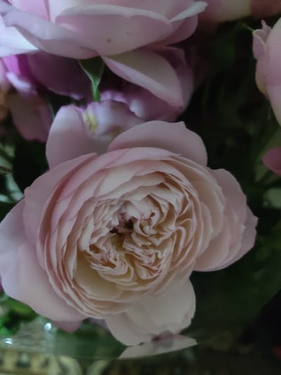 A close-up, slightly out-of-focus shot of a cluster of pale pink roses. The central rose is the most prominent, its tightly furled petals creating a dense, layered effect. The background is a blur of darker pink petals and green foliage, suggesting a floral arrangement. The image was taken in Ternovka, Moldova.