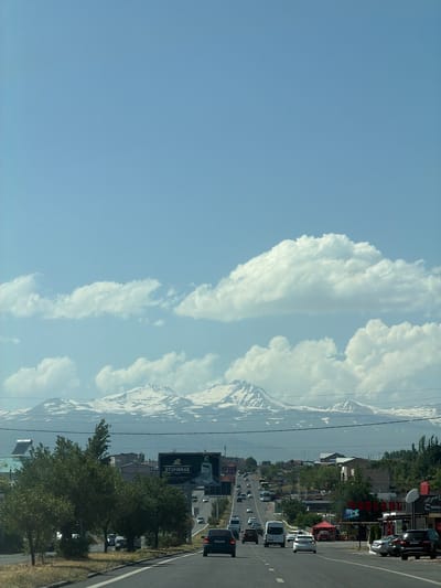 The image captures a view of a highway passing through the town of Proshyan, Armenia, with the majestic snow-capped mountains in the background. The sky is a clear blue with scattered white clouds, indicating fair weather. The highway, asphalted and marked with white lines, is busy with traffic, including cars, vans, and a bus. On the sides of the highway, there are trees, buildings, and commercial establishments, including a large billboard advertising "STUMBRAS VODKA". The architecture of the buildings suggests a mix of residential and commercial structures. The foreground shows the road and its surroundings, with trees and vegetation contributing to the natural landscape. The overall scene depicts a typical day in a town that is set against a backdrop of natural beauty.
