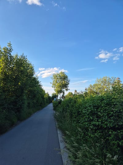 The image depicts a paved path running through a green, tree-lined area under a blue sky with scattered white clouds. The path is asphalt and appears to be a pedestrian or bicycle lane. Dense green foliage lines both sides of the path, with tall trees visible further in the background. The lighting suggests it is late afternoon or early evening. No people are visible in the scene. The overall impression is one of a serene, natural environment within or on the outskirts of a city.
Based on the information provided in the prompt, the location is the city of Landshut, Germany. This particular path is likely a scenic route within one of Landshut's parks or along the Isar river, given the lush greenery and the presence of a clear, well-maintained path.