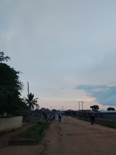 The image depicts a street scene in Mangu Town, Nigeria, at dusk. The sky is overcast with a soft gradient of light blue to pinkish hues, indicating the end of daylight. A dirt road runs through the center of the frame, flanked by buildings and vegetation. On the left side of the road, a large tree with dense foliage is visible, partially obscuring some of the structures behind it. To the right of the tree, a tall, thin pole with wires stretches upwards.
Several people are present in the scene, mostly appearing as silhouettes or blurry figures due to the low light and the distance. Some individuals are on motorcycles, riding along the road. One motorcycle with a rider is prominently featured in the foreground, moving away from the viewer. Another motorcycle with a rider is further down the road, also moving away. A few other figures are seen walking or standing near the buildings.
The buildings along the road appear to be simple, with corrugated metal roofs and walls made of various materials, suggesting a rural or semi-urban environment. There is a clear indication of a trench or ditch running alongside the road in the foreground, filled with green vegetation. The overall atmosphere of the image is calm and quiet, typical of a town at the close of the day.