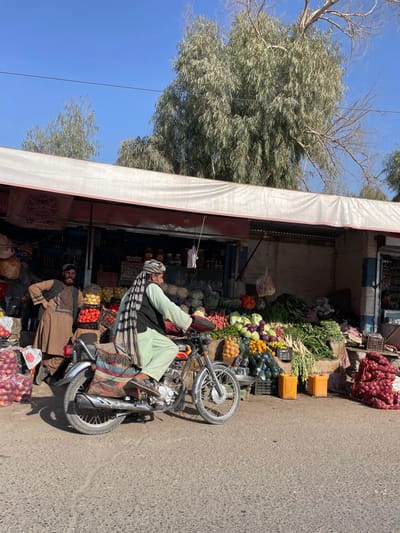 A produce stand sits roadside under a white awning. Vegetables like onions, tomatoes, cabbage, zucchini, and carrots fill shelves. A man reclines on a parked motorcycle in front, wearing traditional clothing and a turban. Another man stands nearby in a brown garment. A large tree with silvery-green foliage looms over the stand, set against a clear blue sky.