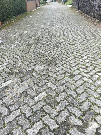 The image displays an outdoor pathway in the city of Pô Kô, Vietnam. The path is surfaced with weathered, interlocking gray paver blocks laid in a herringbone pattern. Significant growth of green moss and small weeds is present within the gaps between the paver blocks across the entire visible surface. To the left, a dense green hedge borders the pathway, with a segment of a light brown building or fence visible behind it. To the right, a rough, dark gray stone wall runs parallel to the path, backed by an upward-sloping grassy area. The pathway extends into the distance, appearing slightly uphill. No individuals, vehicles, or active interactions are present. The scene is illuminated by diffused, non-directional light, indicating an overcast sky.