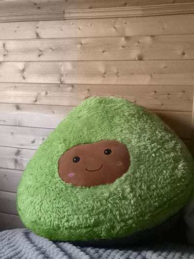 A plush avocado toy with a smiling face is positioned on a light blue knitted blanket. The toy is predominantly green with a brown inner pit featuring embroidered eyes, a smile, and blush marks. Behind the toy, a wall constructed of horizontal wooden planks serves as the background. The lighting appears to be ambient. The scene is set indoors, possibly in a room within a residence in Trudovik, Russia. No individuals are present in the image, and no actions or interactions are depicted.
