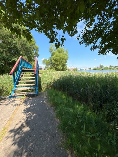 This is a fisheye lens photograph taken on a sunny day, likely in the late morning or early afternoon, given the bright sunlight and distinct shadows cast on the ground. The scene is a natural landscape with hints of urban elements in the distance. In the foreground, a blue and red metal structure with wooden steps, possibly a ramp or an unconventional staircase, is situated next to a paved path. Lush green foliage from trees overhangs the left side of the frame, partially obscuring the bright blue sky which is dotted with a few wispy clouds.
The path leads towards a dense area of tall green grass and reeds, suggesting a waterfront location. Beyond this vegetation, a body of water, likely a river or lake, is visible. On the far side of the water, a townscape unfolds, featuring buildings with red-tiled roofs and a prominent church spire, which is a characteristic architectural feature of Pastavy, Belarus. The overall mood is serene and peaceful, capturing a quiet moment in nature. There is no visible text in the image.