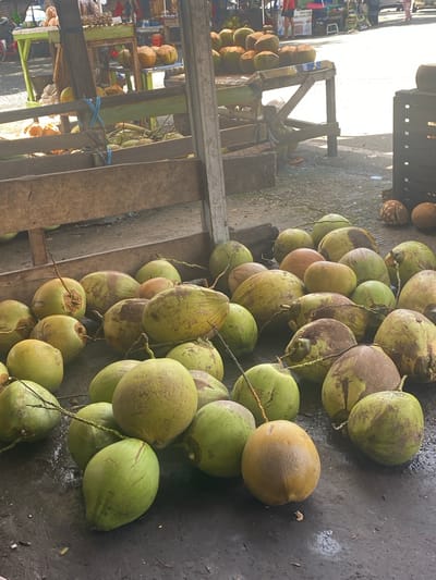 The image depicts an outdoor market scene, likely in Ta', Indonesia, featuring a large collection of green coconuts piled on the ground and on wooden structures. The coconuts are of varying sizes and shades of green, with some showing brown patches. They are arranged in a somewhat haphazard manner, with some still attached to their stems. In the background, there are wooden stalls and tables laden with more coconuts and possibly other produce. Faintly visible in the distance are blurred figures of people, suggesting the market is active. The ground appears to be a mix of dirt and concrete, and there are hints of overhead coverings or awnings. The lighting suggests it is daytime, with shadows cast on the ground. The overall impression is of a vibrant, bustling local market focused on the sale of fresh coconuts.