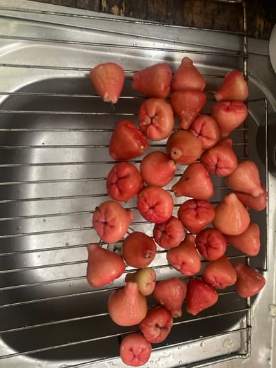 Approximately 45-50 reddish-pink, bell-shaped fruits, identified as wax apples (Syzygium samarangense), are observed resting on a stainless steel drying rack positioned within a stainless steel kitchen sink. The fruits exhibit a glossy, wet appearance, with numerous water droplets visible on their skins, the metal rack, and the interior surface of the sink basin, indicating recent rinsing. Minor surface irregularities and darker blemishes are present on some individual fruits. The sink's immediate background appears to be a dark, indistinct surface. This scene is located in Capesterre-Belle-Eau, France.