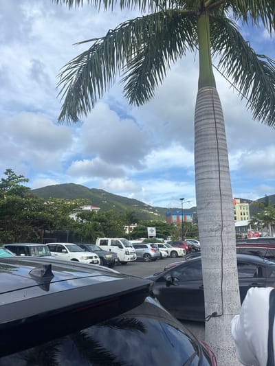 The image depicts an outdoor parking lot in Road Town, British Virgin Islands. The foreground is dominated by the base of a tall palm tree with a light-colored, vertically striated trunk, positioned on the right side of the frame. Its green fronds extend across the top. Partially visible in the lower left and center is the dark roof and rear window of a vehicle, featuring a black shark-fin antenna. On the far right, a portion of a person's shoulder and arm in a white garment with a dark stripe is visible next to the palm tree.

The midground features numerous vehicles parked on an asphalt surface. These include white SUVs, a white pickup truck, a dark green SUV, a silver hatchback, and other sedans and SUVs of various colors (black, maroon, grey). Green tropical vegetation, including dense bushes and trees, lines the back of the parking area.

The background reveals lush green hills covered in dense vegetation, rising under a sky with scattered white cumulus clouds against a blue expanse. Several buildings are discernible within this landscape; notable are a multi-story building with blue and red sections on the right-center, and a lighter-colored multi-story building further right. A utility pole stands upright in the distance above the parked vehicles. The scene is illuminated by natural daylight under partly cloudy conditions.