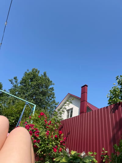 In a residential backyard in Afanasyevo, Russia, a clear blue sky dominates the upper portion of the image. A thin white contrail from an airplane is visible high in the sky. Below, a white house with a red metal roof and a prominent red brick chimney stands to the right of a large, leafy green tree. A red corrugated metal fence runs across the lower right half of the frame. In the foreground, a portion of a person's legs and thighs is visible, suggesting they are lying down or relaxing. A swing set with blue ropes and a green metal frame is partially visible to the left of the legs, behind a bush of vibrant red roses. The overall scene depicts a sunny day in a suburban or rural setting.