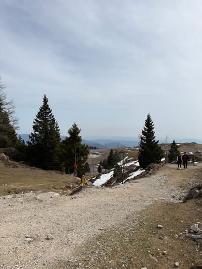 The image captures a mountainous landscape in Kamnik, Slovenia. A gravel path runs along the right side of the frame, with a steep drop-off to the left. Several evergreen trees are scattered along the hillside. Patches of snow and purple wildflowers dot the landscape. In the distance, layered mountains fade into the horizon under a cloudy sky. Two people are walking along the path in the upper right corner of the frame, and a single person in a yellow jacket is located along the path near the foreground. A red marker is seen on one of the trees.