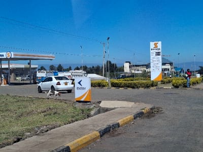 The image shows a gas station with a white car parked in front. The gas station is located in Karagita, Kenya, at coordinates -0.767, 36.492. There is a sign for "SAMARA ENERGY" on the right side of the image and an "ENTRY" sign on the left side. A person wearing a red shirt is standing on the sidewalk next to a small, green, leafy bush. There is a dog on the sidewalk next to a grassy area in front of the white car. The background is a blue sky and there are trees in the distance. The ground is paved.