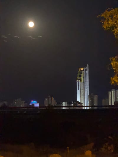 A full moon shines brightly in the dark night sky above a city skyline. A large, modern skyscraper with a distinctive stepped top and a cross emblem on its facade stands prominently in the center of the frame, illuminated by white and yellow lights. To the left of this skyscraper, other buildings are visible, including one with a blue and red illuminated sign. To the right, more high-rise buildings form the urban landscape. In the foreground, a dark silhouette of what appears to be a barrier or a low wall runs across the bottom of the image, with some dimly lit vegetation or ground visible beyond it. A branch with yellow leaves is visible in the upper right corner, extending into the dark sky. The scene is characteristic of the Benidorm skyline, visible from Finestrat, Spain, at night.