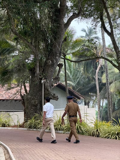 A sidewalk next to a brick walkway is bordered by lush greenery, including palm trees. Two men stroll along the path. The first man wears a light-colored shirt and pants. The second is dressed in a tan uniform with a blue hat, possibly a security guard. A large, gnarled tree stands nearby.