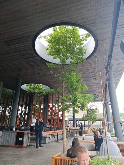 The image depicts an outdoor or semi-outdoor restaurant or lounge area located in Vynnyky, Ukraine. The scene is illuminated primarily by natural light entering through several large circular skylights in a dark grey wooden plank ceiling.
The main subject is a relatively tall tree with vibrant green, lobed leaves, positioned centrally, growing through the largest skylight. A second, smaller tree of the same species is visible through another skylight in the mid-ground left. Several bare, slender deciduous trees with light brown buds and one bamboo support stake are present on the right side of the frame, beneath the covered area.
The floor consists of large, light grey square tiles. The overhead structure is supported by multiple dark grey cylindrical columns. In the background, a large glass wall reflects elements of the interior, and a patterned wall section with terracotta-colored, possibly square or rectangular elements arranged in a grid is visible.
Approximately 15-20 individuals are present. In the center-left foreground, a male individual stands facing slightly right, engaged in a phone call, holding a black smartphone to his right ear. He wears a dark blue zip-up hoodie over a black t-shirt, dark blue trousers, and black sneakers with white soles. His hair is short and dark.
Multiple patrons are seated on low-slung wooden lounge benches with grey cushions, as well as on dark wicker-style chairs, situated around small square black tables. One patron's head and shoulders, featuring blonde hair, are visible in the bottom-right corner. Adjacent to him, another individual is seated, wearing a grey patterned hooded garment. A dark jacket or sweater is draped over one of the lounge benches. Small potted plants with white flowers are visible on some tables.
Several staff members are identifiable. Two female staff members in white blouses, black vests, and black skirts or trousers are visible near a light-colored wooden counter unit with orange-red accents on the left side of the mid-ground. Another staff member in a white shirt and dark trousers is partially visible further left.
Other objects include black, dome-shaped speakers mounted on columns, and two tall, dark grey patio heaters positioned on the far right. Glassware and dishes are visible on some tables. The overall environment appears modern and spacious.